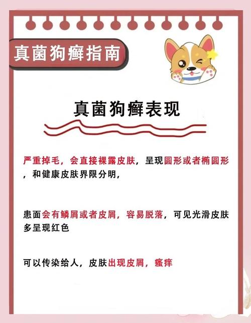 狗皮肤病有什么土方法可以治疗/治狗狗皮肤病的土方-第4张图片 狗皮肤病有什么土方法可以治疗/治狗狗皮肤病的土方-第4张图片