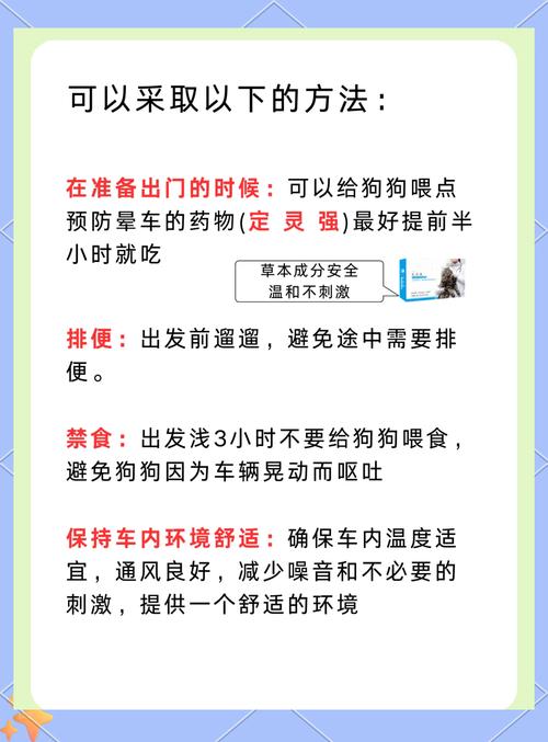怎么训练狗狗坐电动车/怎么训练狗狗坐电动车视频-第1张图片 怎么训练狗狗坐电动车/怎么训练狗狗坐电动车视频-第1张图片