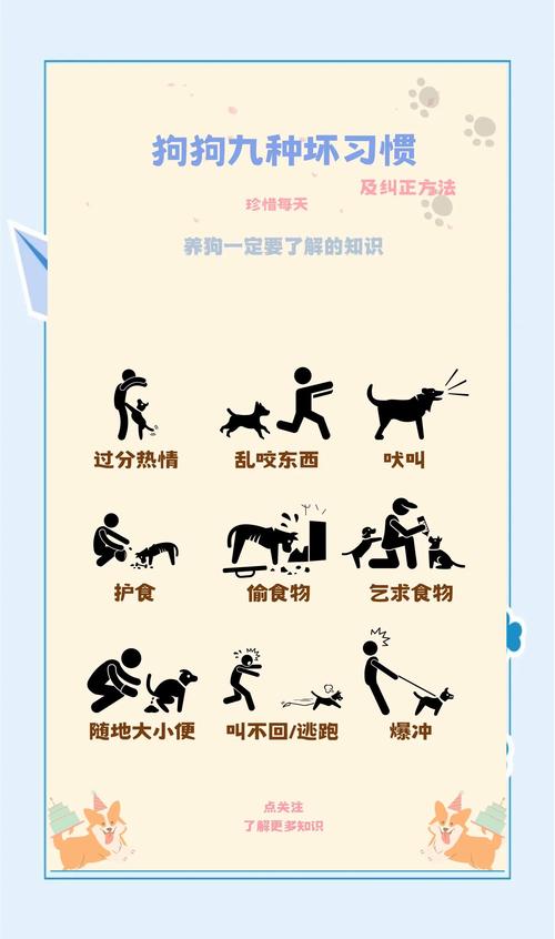 怎么训练狗狗坐电动车/怎么训练狗狗坐电动车视频-第6张图片 怎么训练狗狗坐电动车/怎么训练狗狗坐电动车视频-第6张图片
