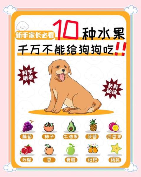 作为消费者“狗狗能吃火龙果吗”你不能不知道-第6张图片 作为消费者“狗狗能吃火龙果吗”你不能不知道-第6张图片