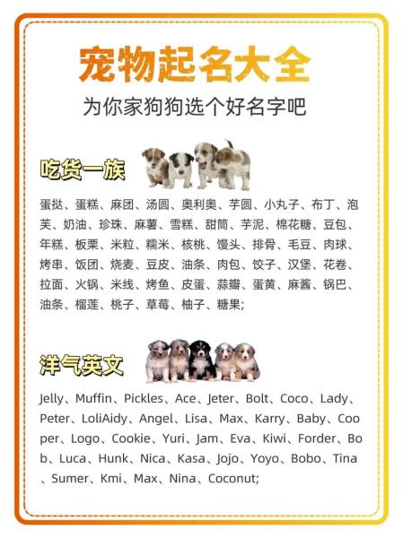 作为消费者“小狗名”你不能不知道-第6张图片 作为消费者“小狗名”你不能不知道-第6张图片