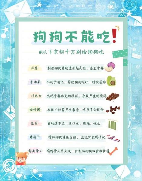 解析“宠物狗能吃吗”你不知道的事-第3张图片 解析“宠物狗能吃吗”你不知道的事-第3张图片
