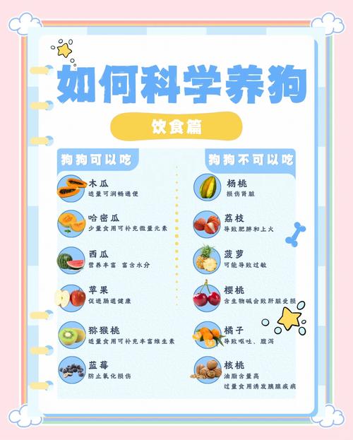 解析“宠物狗能吃吗”你不知道的事-第5张图片 解析“宠物狗能吃吗”你不知道的事-第5张图片