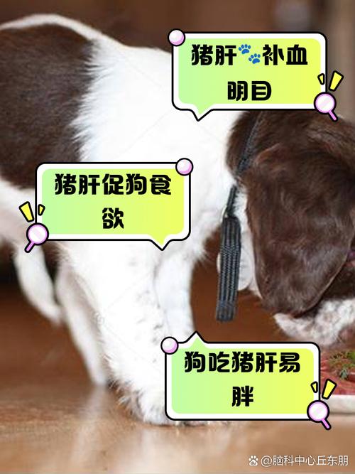 解析“宠物狗能吃吗”你不知道的事-第8张图片 解析“宠物狗能吃吗”你不知道的事-第8张图片