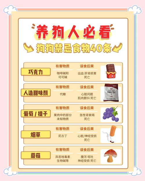 解析“宠物狗能吃吗”你不知道的事-第9张图片 解析“宠物狗能吃吗”你不知道的事-第9张图片