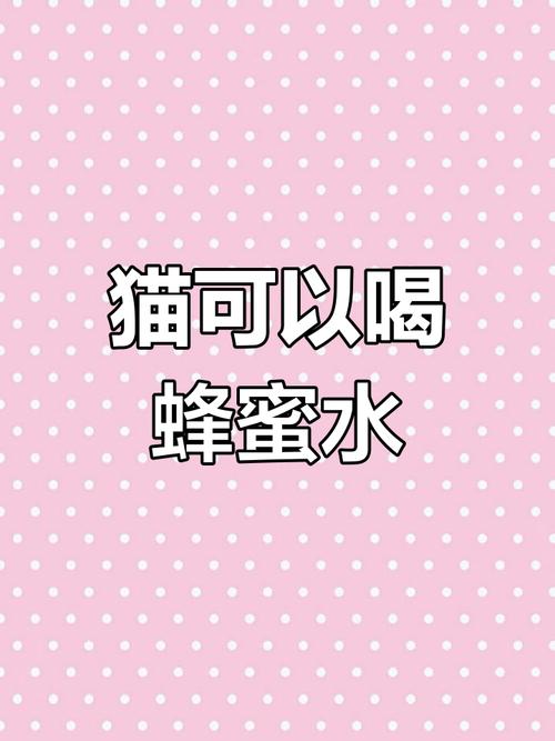 猫咪能喝蜂蜜水吗-猫咪能喝蜂蜜水吗?-第5张图片 猫咪能喝蜂蜜水吗-猫咪能喝蜂蜜水吗?-第5张图片