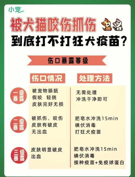 狗狗没打疫苗会怎么样/狗狗没打疫苗怎么办-第3张图片 狗狗没打疫苗会怎么样/狗狗没打疫苗怎么办-第3张图片