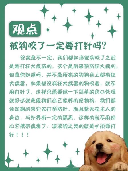 狗狗没打疫苗会怎么样/狗狗没打疫苗怎么办-第8张图片 狗狗没打疫苗会怎么样/狗狗没打疫苗怎么办-第8张图片