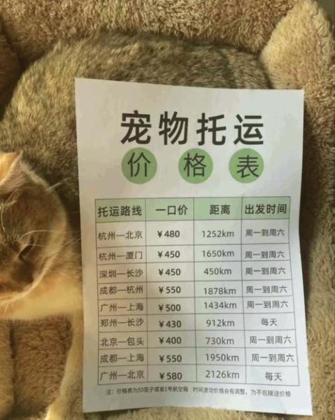 狗狗空运怎么收费-狗狗空运大概要多少钱?-第3张图片 狗狗空运怎么收费-狗狗空运大概要多少钱?-第3张图片