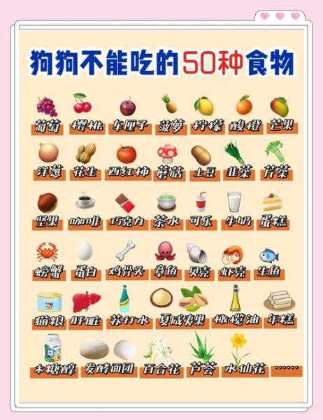 解析“狗狗可以生吃胡萝卜吗”你不知道的事-第1张图片 解析“狗狗可以生吃胡萝卜吗”你不知道的事-第1张图片