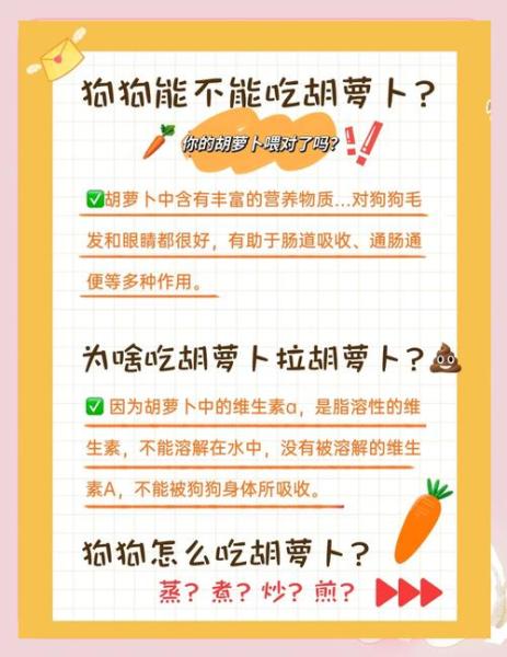 解析“狗狗可以生吃胡萝卜吗”你不知道的事-第2张图片 解析“狗狗可以生吃胡萝卜吗”你不知道的事-第2张图片