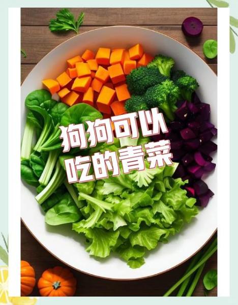 解析“狗狗可以生吃胡萝卜吗”你不知道的事-第4张图片 解析“狗狗可以生吃胡萝卜吗”你不知道的事-第4张图片