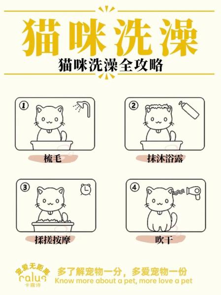 怎么帮猫咪洗澡/怎样帮猫洗澡比较好?-第1张图片 怎么帮猫咪洗澡/怎样帮猫洗澡比较好?-第1张图片