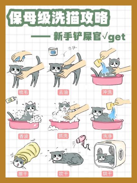 怎么帮猫咪洗澡/怎样帮猫洗澡比较好?-第4张图片 怎么帮猫咪洗澡/怎样帮猫洗澡比较好?-第4张图片