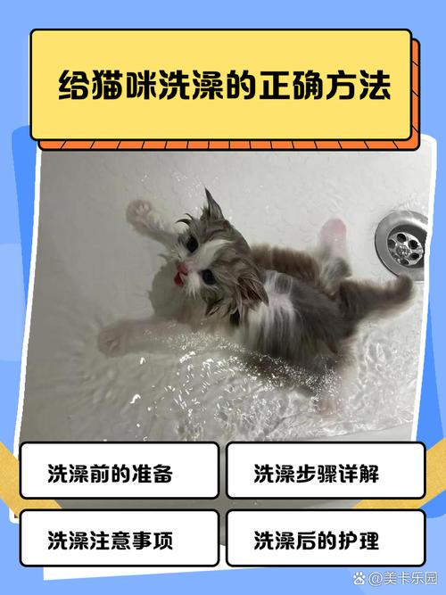怎么帮猫咪洗澡/怎样帮猫洗澡比较好?-第5张图片 怎么帮猫咪洗澡/怎样帮猫洗澡比较好?-第5张图片