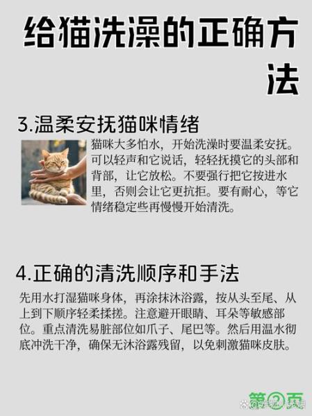 怎么帮猫咪洗澡/怎样帮猫洗澡比较好?-第6张图片 怎么帮猫咪洗澡/怎样帮猫洗澡比较好?-第6张图片