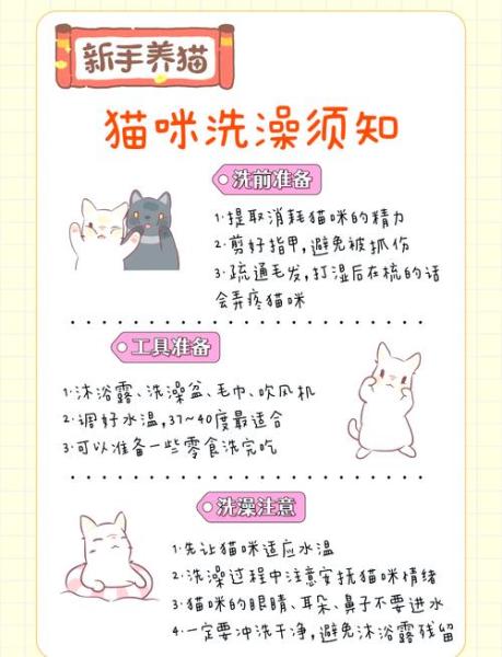 怎么帮猫咪洗澡/怎样帮猫洗澡比较好?-第9张图片 怎么帮猫咪洗澡/怎样帮猫洗澡比较好?-第9张图片