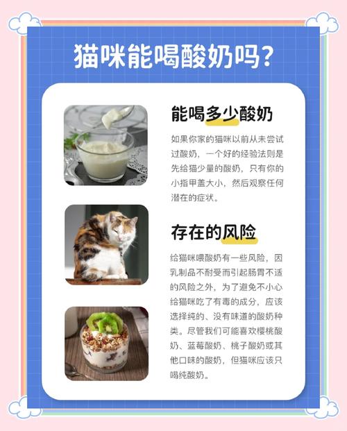 猫咪能吃酸奶吗-猫咪能吃酸奶吗泰迪-第5张图片 猫咪能吃酸奶吗-猫咪能吃酸奶吗泰迪-第5张图片