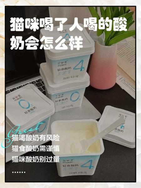 猫咪能吃酸奶吗-猫咪能吃酸奶吗泰迪-第6张图片 猫咪能吃酸奶吗-猫咪能吃酸奶吗泰迪-第6张图片