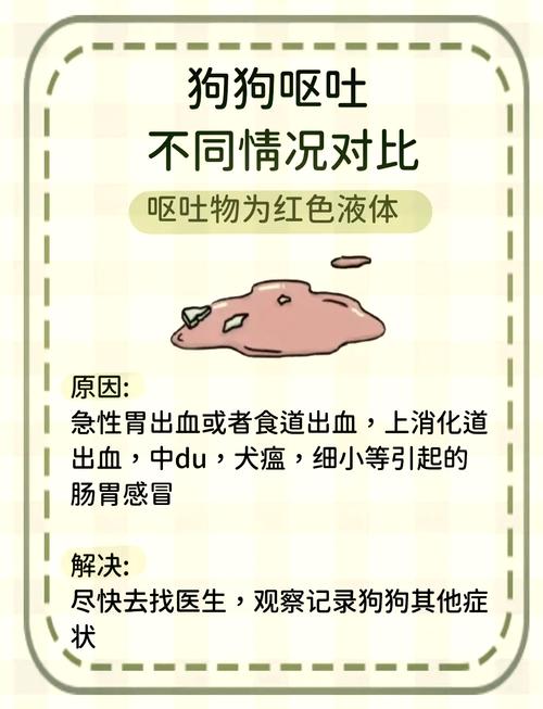 狗狗咳嗽呕吐怎么回事,狗狗咳嗽呕吐怎么办-第2张图片 狗狗咳嗽呕吐怎么回事,狗狗咳嗽呕吐怎么办-第2张图片