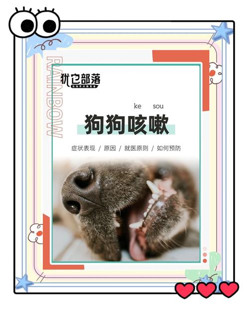 狗狗咳嗽呕吐怎么回事,狗狗咳嗽呕吐怎么办-第4张图片 狗狗咳嗽呕吐怎么回事,狗狗咳嗽呕吐怎么办-第4张图片