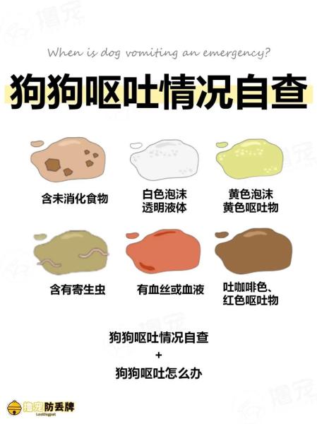 狗狗咳嗽呕吐怎么回事,狗狗咳嗽呕吐怎么办-第6张图片 狗狗咳嗽呕吐怎么回事,狗狗咳嗽呕吐怎么办-第6张图片