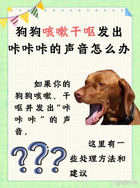 狗狗咳嗽呕吐怎么回事,狗狗咳嗽呕吐怎么办-第7张图片 狗狗咳嗽呕吐怎么回事,狗狗咳嗽呕吐怎么办-第7张图片