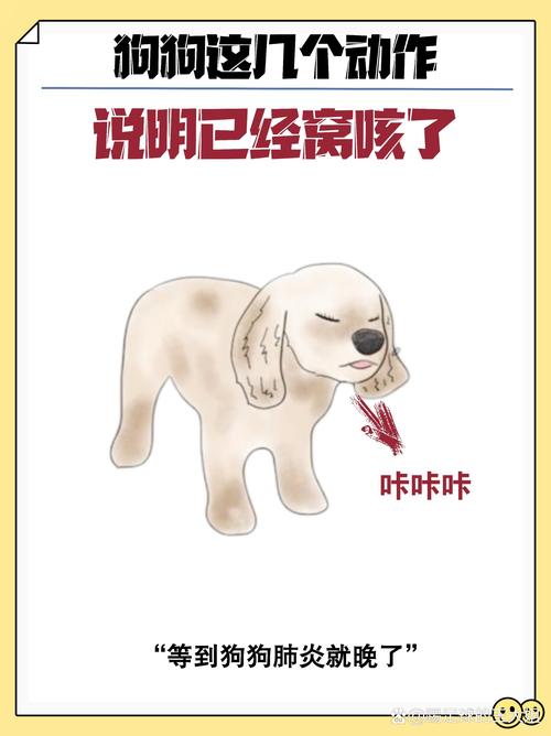 狗狗咳嗽呕吐怎么回事,狗狗咳嗽呕吐怎么办-第9张图片 狗狗咳嗽呕吐怎么回事,狗狗咳嗽呕吐怎么办-第9张图片