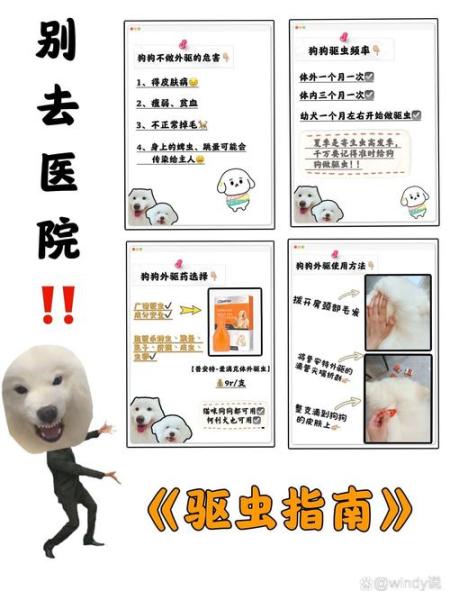 作为消费者“狗狗驱虫药多少钱”你不能不知道-第10张图片 作为消费者“狗狗驱虫药多少钱”你不能不知道-第10张图片
