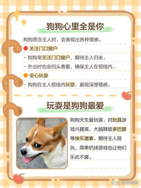 狗狗都在想什么,狗整天都在想什么-第2张图片 狗狗都在想什么,狗整天都在想什么-第2张图片