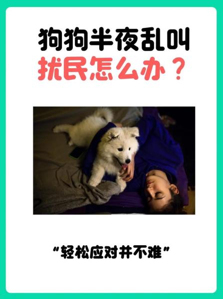 狗狗叫-狗狗叫的声音像哭是怎么回事-第2张图片 狗狗叫-狗狗叫的声音像哭是怎么回事-第2张图片