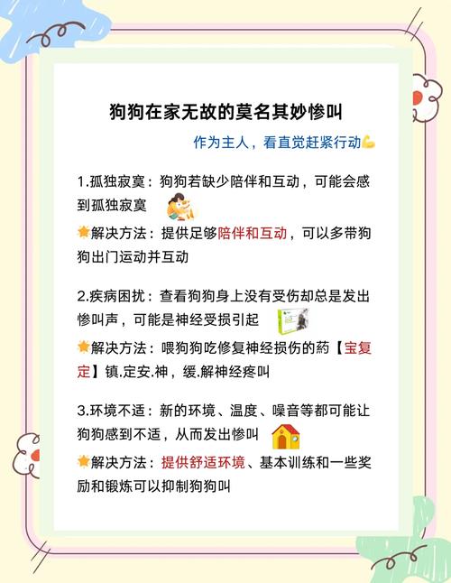 狗狗叫-狗狗叫的声音像哭是怎么回事-第3张图片 狗狗叫-狗狗叫的声音像哭是怎么回事-第3张图片