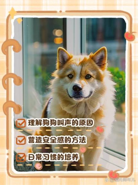 狗狗叫-狗狗叫的声音像哭是怎么回事-第8张图片 狗狗叫-狗狗叫的声音像哭是怎么回事-第8张图片