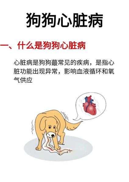解析“匹莫苯丹狗狗可以长期吃吗”你不知道的事-第1张图片 解析“匹莫苯丹狗狗可以长期吃吗”你不知道的事-第1张图片