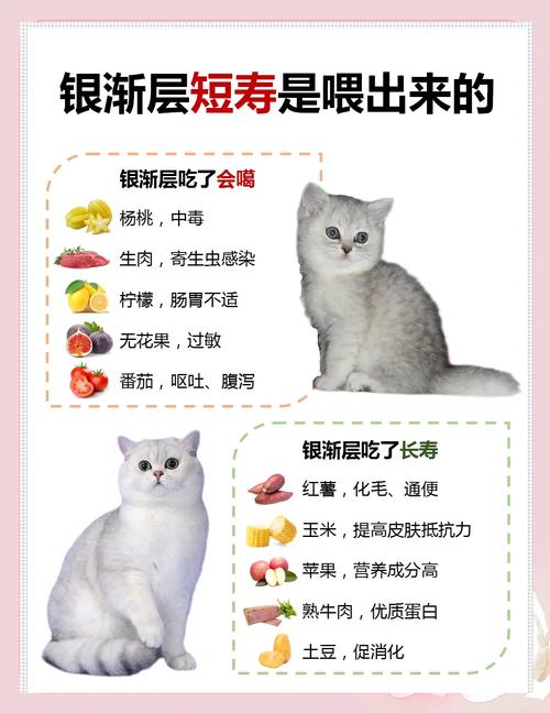 猫咪能吃什么-猫咪能吃什么零食-第4张图片 猫咪能吃什么-猫咪能吃什么零食-第4张图片