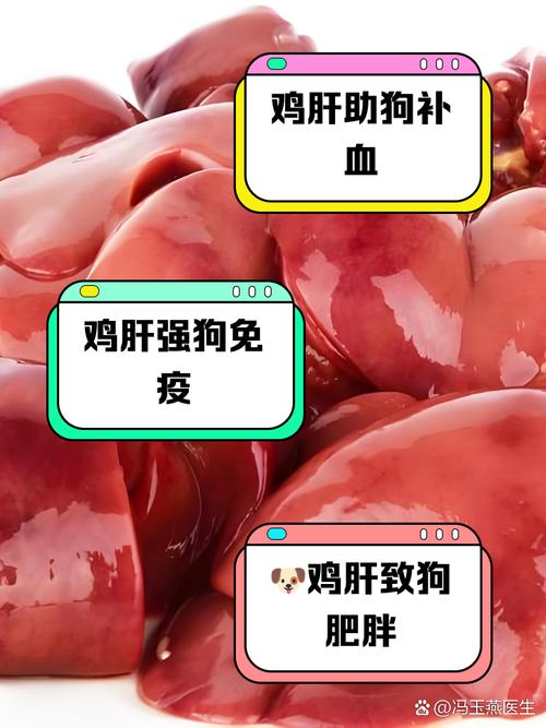 狗狗能吃鸭肝吗,狗狗可以吃鸭肝?-第3张图片 狗狗能吃鸭肝吗,狗狗可以吃鸭肝?-第3张图片