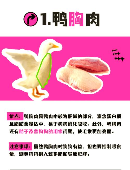 狗狗能吃鸭肝吗,狗狗可以吃鸭肝?-第4张图片 狗狗能吃鸭肝吗,狗狗可以吃鸭肝?-第4张图片