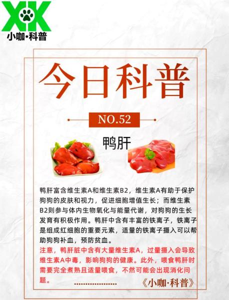狗狗能吃鸭肝吗,狗狗可以吃鸭肝?-第5张图片 狗狗能吃鸭肝吗,狗狗可以吃鸭肝?-第5张图片