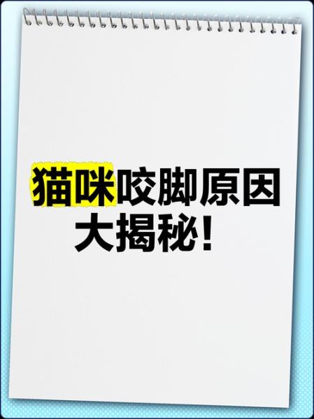猫咪喜欢咬脚代表什么/猫咪喜欢咬脚趾什么情况