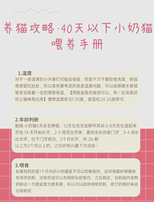 幼猫吃什么/幼猫吃什么益生菌-第2张图片 幼猫吃什么/幼猫吃什么益生菌-第2张图片