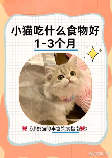幼猫吃什么/幼猫吃什么益生菌-第3张图片 幼猫吃什么/幼猫吃什么益生菌-第3张图片