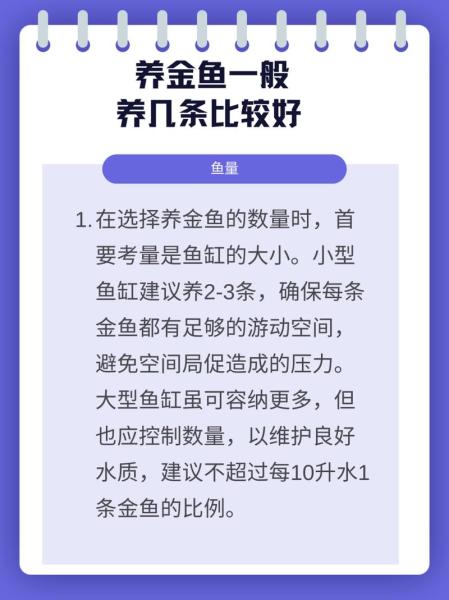 2条小金鱼多久喂一次-两条金鱼多久喂一次-第4张图片 2条小金鱼多久喂一次-两条金鱼多久喂一次-第4张图片