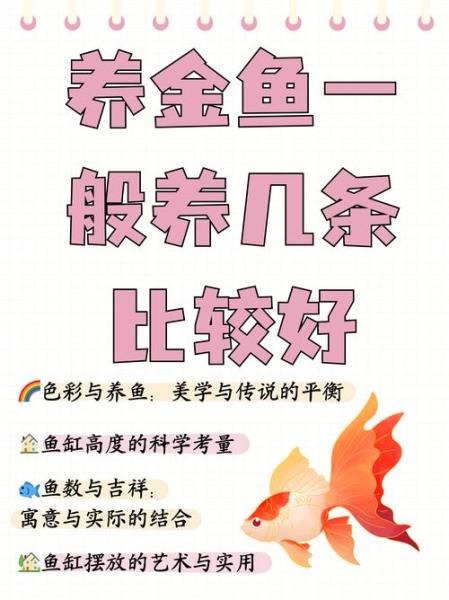 2条小金鱼多久喂一次-两条金鱼多久喂一次-第5张图片 2条小金鱼多久喂一次-两条金鱼多久喂一次-第5张图片
