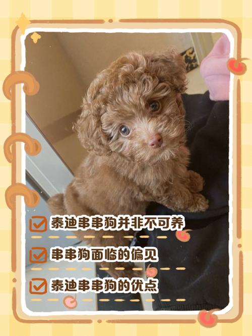 作为消费者“串串狗”你不能不知道-第2张图片 作为消费者“串串狗”你不能不知道-第2张图片