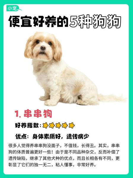 作为消费者“串串狗”你不能不知道-第6张图片 作为消费者“串串狗”你不能不知道-第6张图片