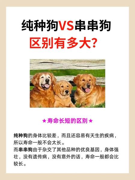 作为消费者“串串狗”你不能不知道-第8张图片 作为消费者“串串狗”你不能不知道-第8张图片