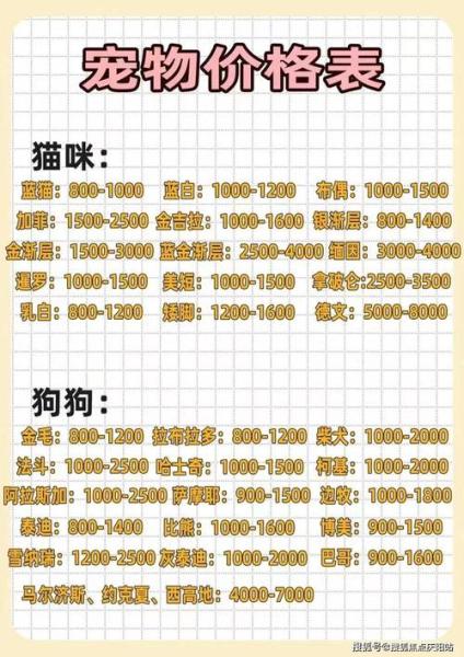 美国爱斯基摩犬多少钱,美国爱斯基摩犬寿命-第7张图片 美国爱斯基摩犬多少钱,美国爱斯基摩犬寿命-第7张图片