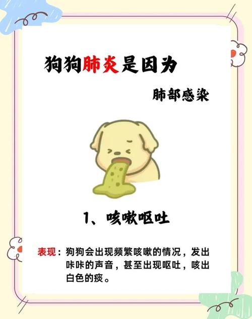 狗狗肺炎的症状/狗狗肺炎吃什么药最有效-第2张图片 狗狗肺炎的症状/狗狗肺炎吃什么药最有效-第2张图片