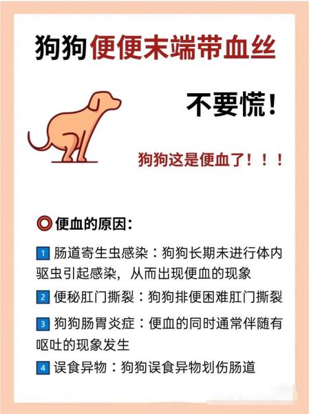作为消费者“狗狗大便带血是怎么回事”你不能不知道-第5张图片 作为消费者“狗狗大便带血是怎么回事”你不能不知道-第5张图片
