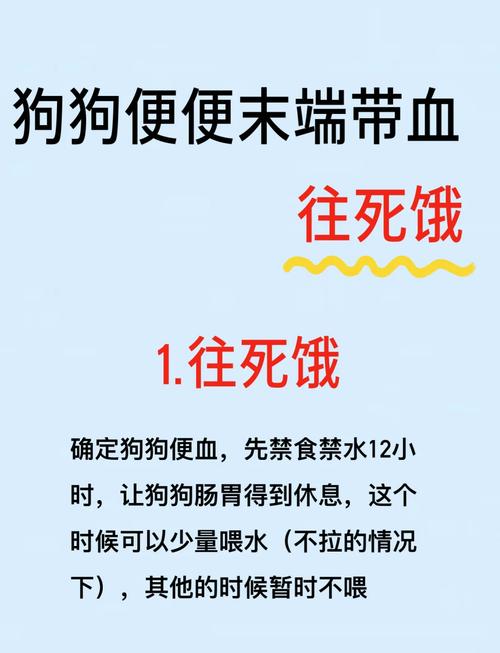 作为消费者“狗狗大便带血是怎么回事”你不能不知道-第8张图片 作为消费者“狗狗大便带血是怎么回事”你不能不知道-第8张图片